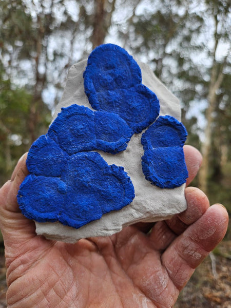 Azurite Sun  AZ158