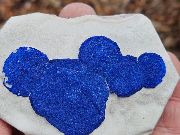 Azurite Sun  AZ159
