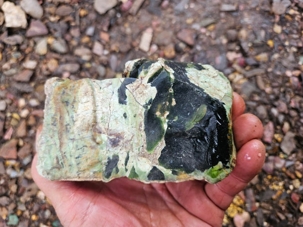 Rough Chrome Chalcedony CCR169