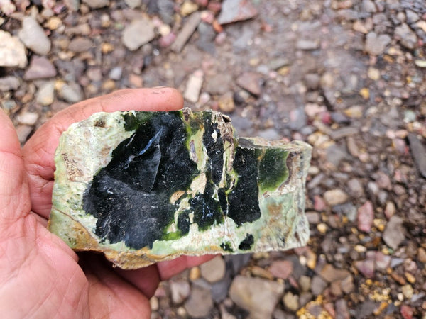 Rough Chrome Chalcedony CCR169