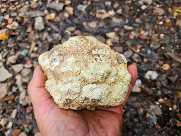 Lime magnesite rough.  LMR 131