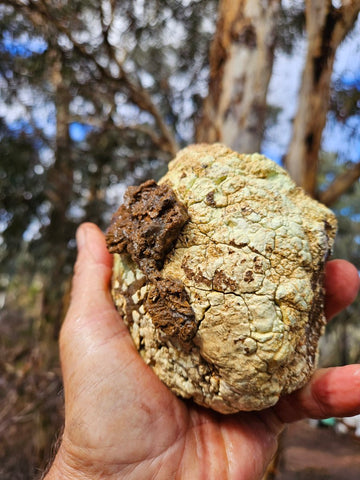 Lime magnesite rough.  LMR 131