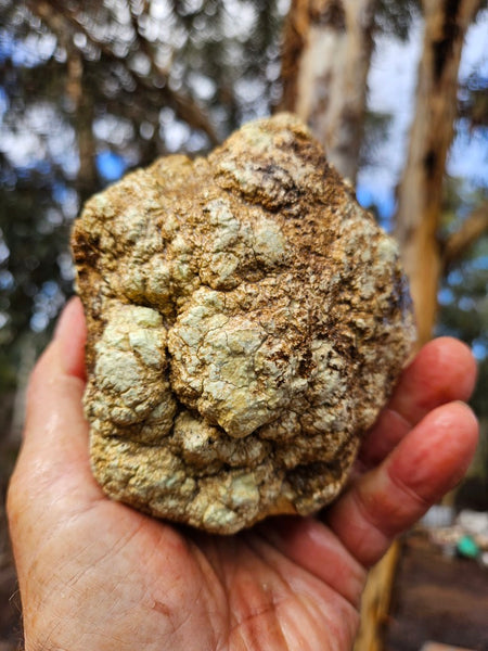 Lime magnesite rough.  LMR 131