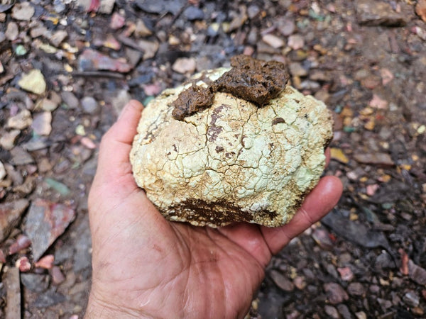 Lime magnesite rough.  LMR 131