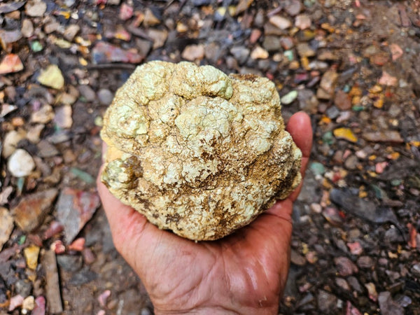 Lime magnesite rough.  LMR 131