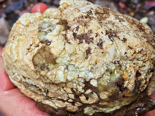 Lime magnesite rough.  LMR 131