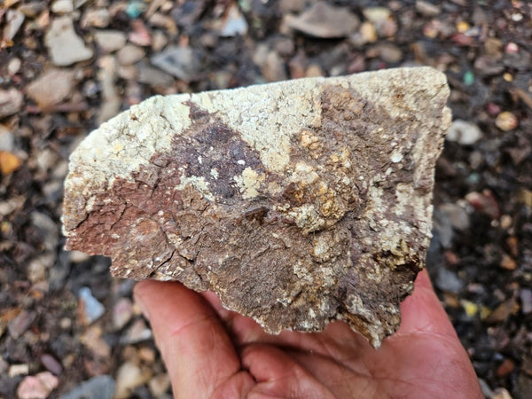 Lime magnesite rough.  LMR 130