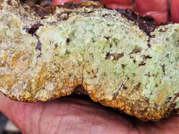 Lime magnesite rough.  LMR 130