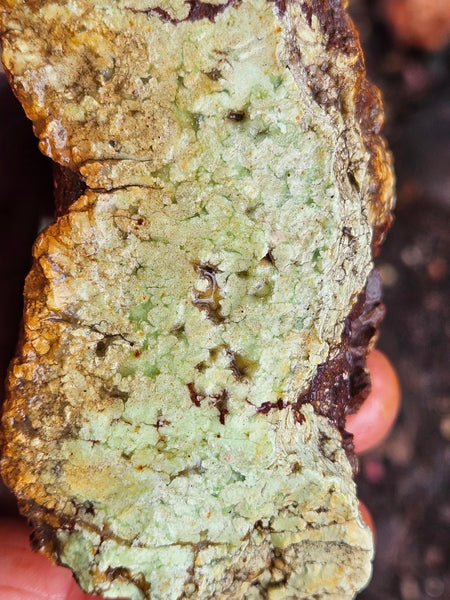 Lime magnesite rough.  LMR 130