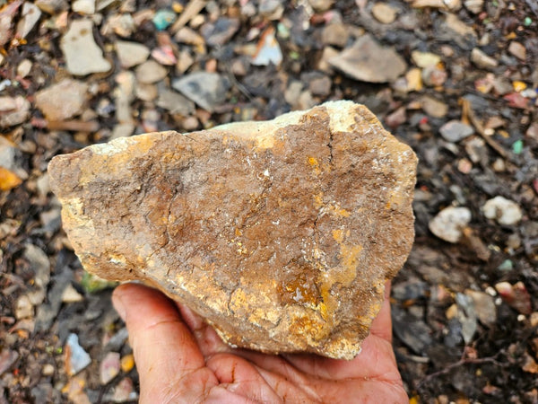Lime magnesite rough.  LMR 129
