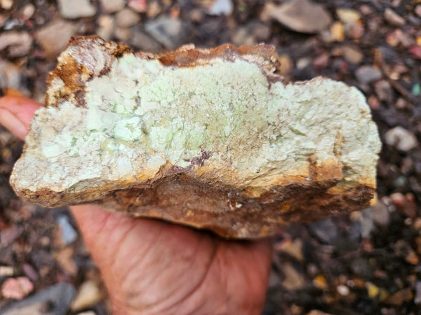 Lime magnesite rough.  LMR 129