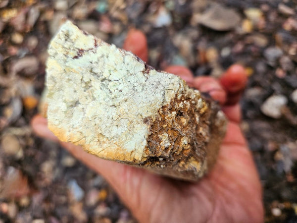 Lime magnesite rough.  LMR 129