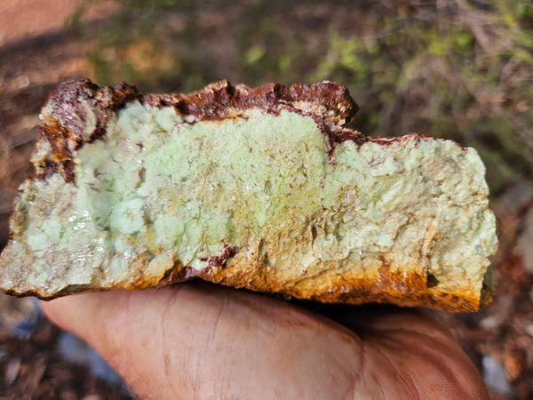 Lime magnesite rough.  LMR 129