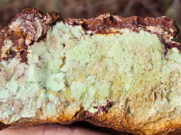 Lime magnesite rough.  LMR 129