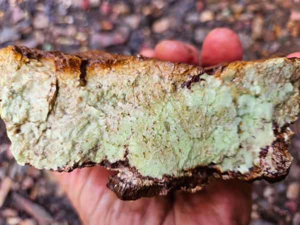 Lime magnesite rough.  LMR 129