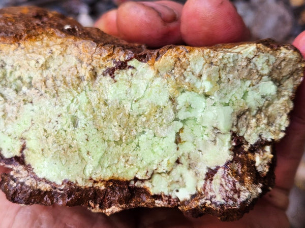 Lime magnesite rough.  LMR 129