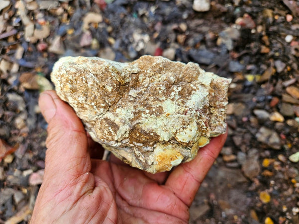 Lime magnesite rough.  LMR 128