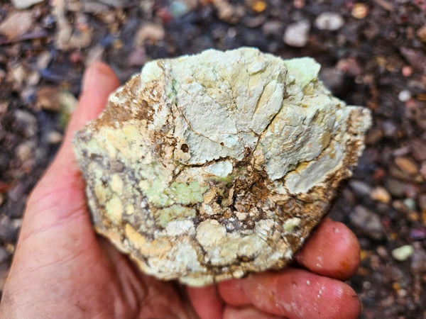Lime magnesite rough.  LMR 128