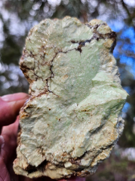 Lime magnesite rough.  LMR 128