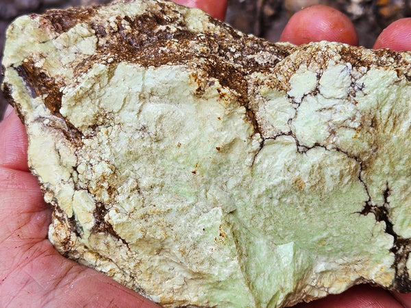 Lime magnesite rough.  LMR 128