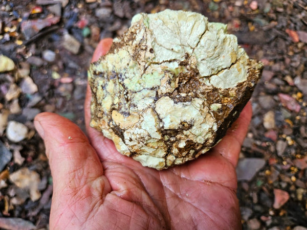 Lime magnesite rough.  LMR 128