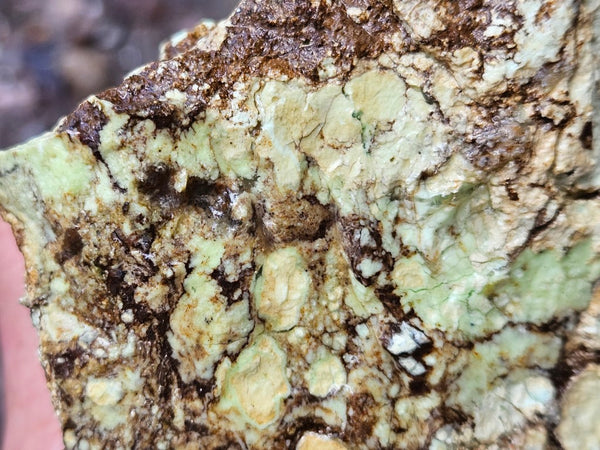 Lime magnesite rough.  LMR 128