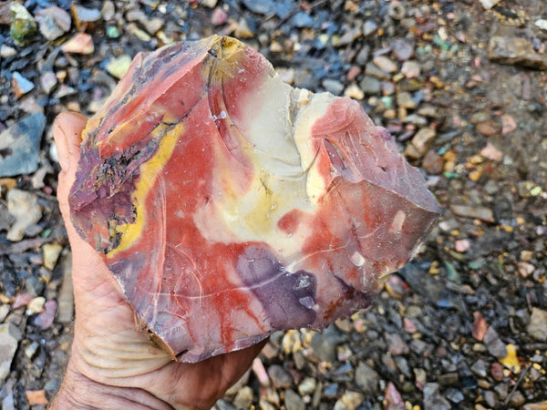 Mookaite rough.  MKR 273