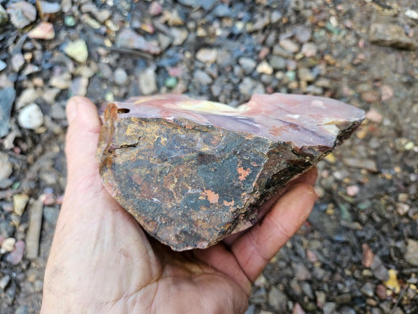 Mookaite rough.  MKR 273