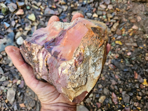 Mookaite rough.  MKR 273