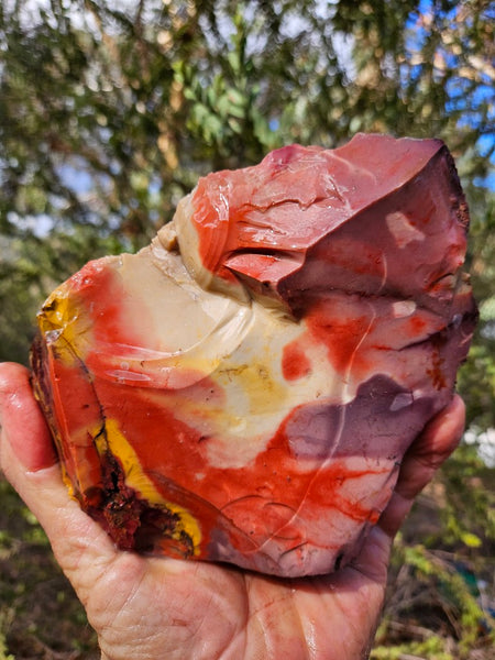 Mookaite rough.  MKR 273