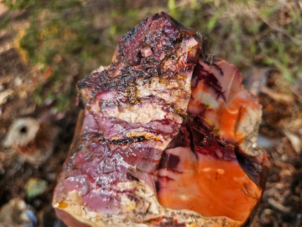 Mookaite rough.  MKR 273
