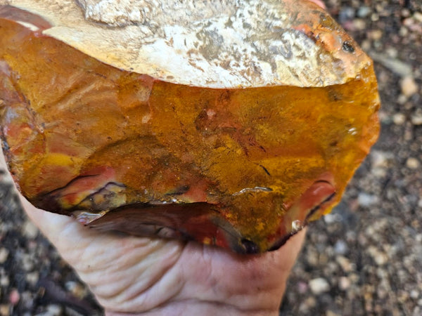 Mookaite rough.  MKR 273