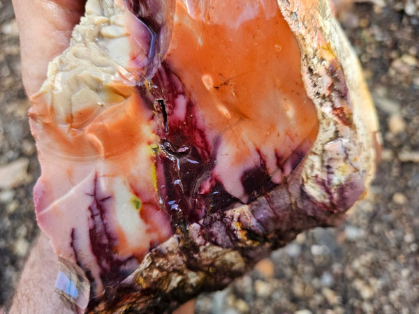 Mookaite rough.  MKR 273