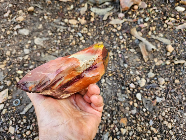 Mookaite rough.  MKR 273
