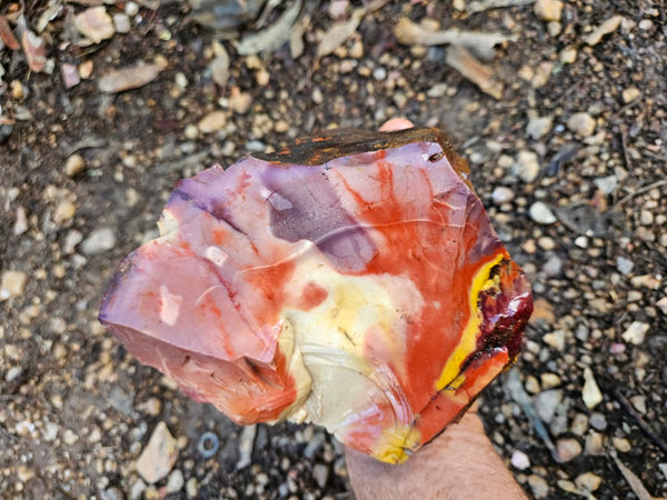 Mookaite rough.  MKR 273