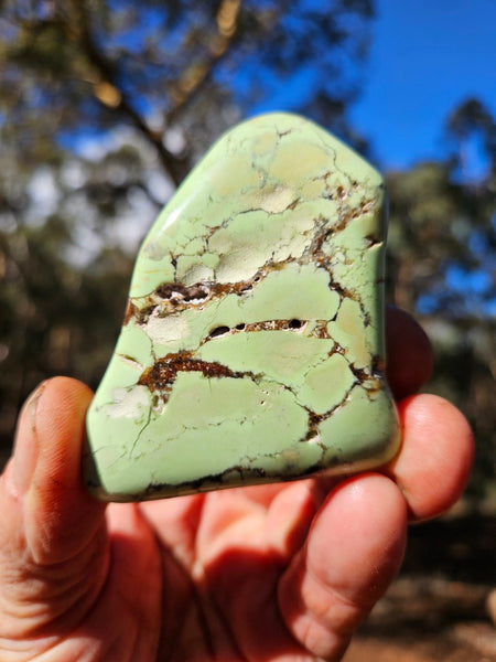 Tumble Polished Lime Magnesite ( Lemon Chrysoprase) LCT121