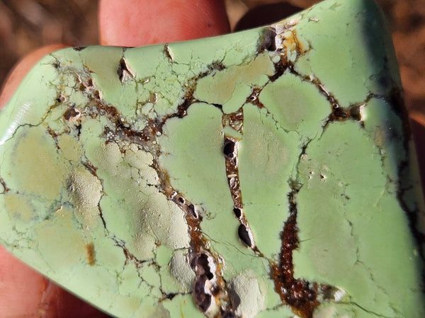 Tumble Polished Lime Magnesite ( Lemon Chrysoprase) LCT121