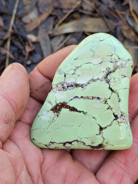Tumble Polished Lime Magnesite ( Lemon Chrysoprase) LCT121