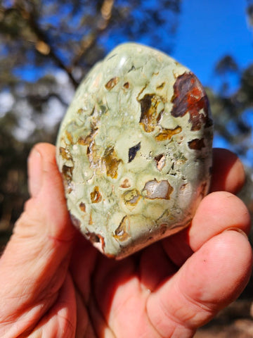 Tumble Polished Rhyolite RJT120