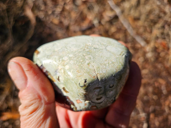 Tumble Polished Rhyolite RJT120