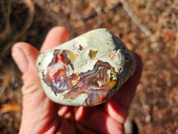 Tumble Polished Rhyolite RJT120