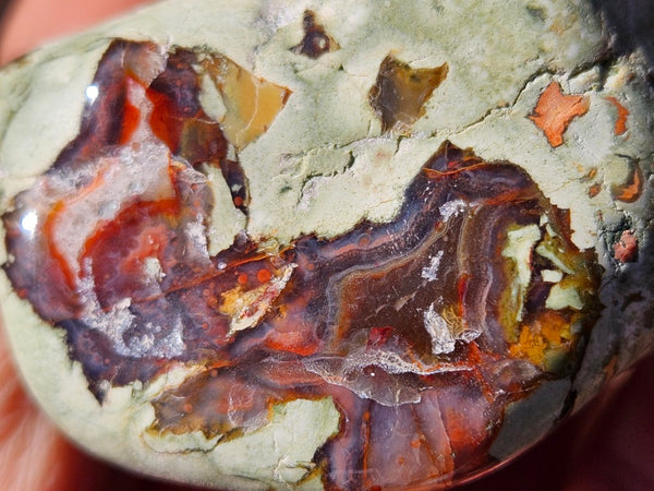 Tumble Polished Rhyolite RJT120