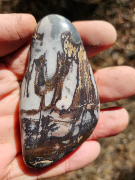 Tumble Polished Outback Jasper OJT107