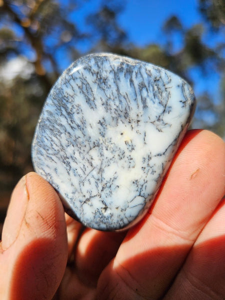 Tumble Polished Dendritic Opal DOT111