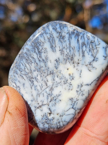Tumble Polished Dendritic Opal DOT111