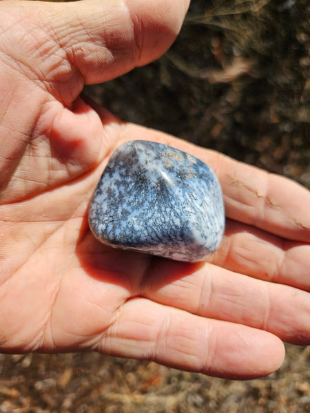 Tumble Polished Dendritic Opal DOT111