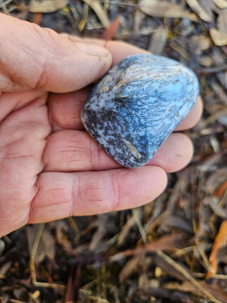 Tumble Polished Dendritic Opal DOT111