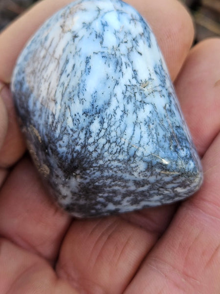 Tumble Polished Dendritic Opal DOT111