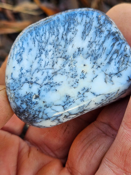 Tumble Polished Dendritic Opal DOT111