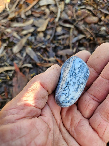 Tumble Polished Dendritic Opal DOT111